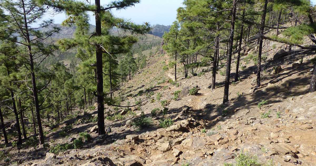 Montaña de Tauro, Gran Canaria